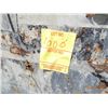 Image 2 : Triple Crown T/A 6' x 10' Dump Trailer, Electric Brakes, Tag # DZGC48
