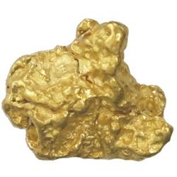 Natural gold nugget, 8.81 grams, from the Feather River in California.