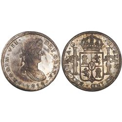 Zacatecas, Mexico, bust 8 reales, Ferdinand VII, 1819AG,  GRATA  error.