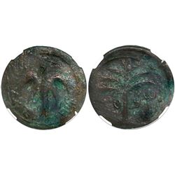Judaea, AE middle bronze, Bar Kokhba Revolt, 132-135 AD, encapsulated NGC Choice VF, strike 4/5 and 
