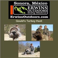 5-day Gould's Turkey Hunt for Two Hunters