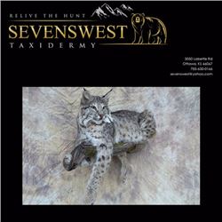 $500 certificate valid on one shoulder mount