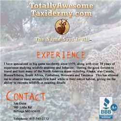 TOTALLY AWESOME TAXIDERMY