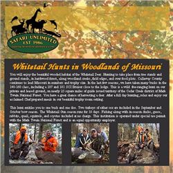 Duck Hunt for two hunters