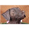 Image 4 : 19 LBS Adorable Labrador Retriever Bust Bronze Sculpture (12"X11")