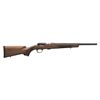 Image 1 : Browning 025217202 T-Bolt Micro Midas 22LR Bolt 16.3" 10+1 Walnut Stk Blued