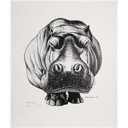 Sam Norkin, Dreamy the Hippo, Poster