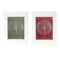 Jonathan Singer, Giant Amazon Waterlily, Lot of Two Digital Photographs