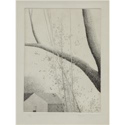 Robert Kipniss, Cross Hatch, Etching