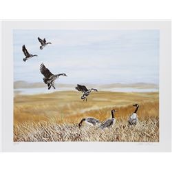 Allen Friedman, Wild Geese, Lithograph