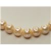 Image 2 : #6-STERLING SILVER FRESHWATER PEARL NECKLACE