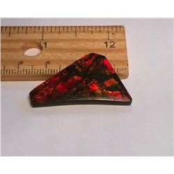 35MM X 20MM X 22MM TRIPLATE AMMOLITE