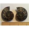 Image 1 : SET OF 2  AMMONITE  FOSSIL SPECIMENS