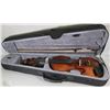 Image 1 : VIOLIN IN CASE