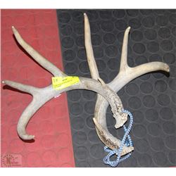 PAIR OF DEER ANTLERS FOR RATTLING