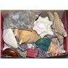 Image 1 : ROCK AND SEA SHELL COLLECTION