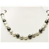 Image 1 : #8-14K GOLD SHELL PEARL NECKLACE