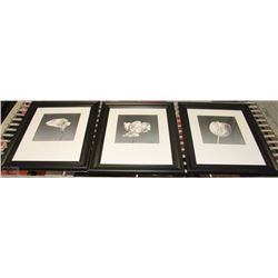 SET OF 3 FRAMED ARTIST SIGNED FLORAL PRINTS