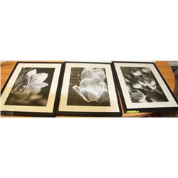 SET OF 3 FRAMED FLORAL PRINTS