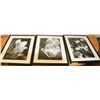 Image 1 : SET OF 3 FRAMED FLORAL PRINTS