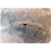 Image 8 : Large San Diego Pre-Historic Olla