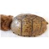 Image 2 : Plains Turtle Shell Rattle