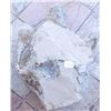 Image 6 : Giant Dinosaur Footprint