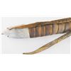 Image 5 : Plains Indian Turtle Rattle