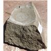 Image 3 : Chumash Pestle & Bowl Fragment
