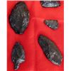 Image 3 : Paleo Obsidian Artifacts