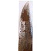 Image 8 : 12.5" Bowie Knife