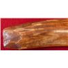 Image 3 : Large Eskimo Hand Axe