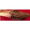 Image 9 : Large Eskimo Hand Axe