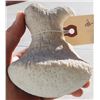Image 8 : Coral Poi Pounder