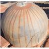 Image 9 : Mojave Painted Olla