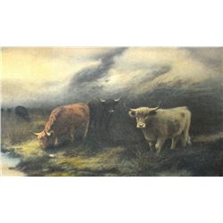 Antique oak framed Highland cattle print, overall size in framed 19" X 27"