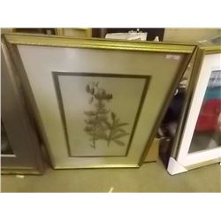 PICTURE - LIS MARTAGONE