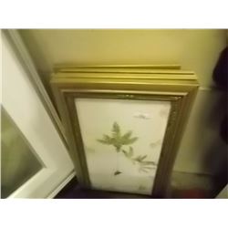 LOT OF PICTURES - 4 - WRITE-UP WITH PLANTS