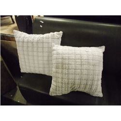 2 FUZZY GREY DECO  PILLOWS