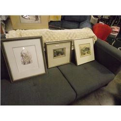 LOT OF PICTURES - 3 TTL