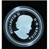 Image 2 : 2014 Canada $20 Fine Silver Coin Maple Canopy - Spring Splendor
