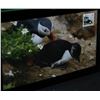 Image 2 : 2014 Canadian $20 Fine Silver Coin and Stamp Set The Alantic Puffin
