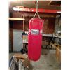 Image 1 : Everlast Olympic Red Punching Bag