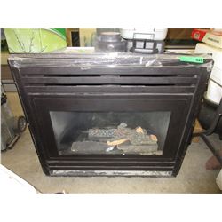 Gas Fireplace Insert