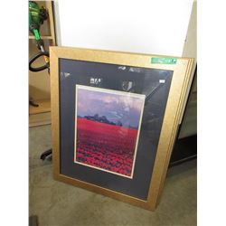 3 Framed Pictures