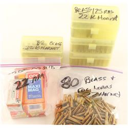 Lot of .22 Brass & Bullets