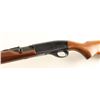 Image 3 : Remington Mdl 552 .22 S/L/LR SN: 1634988
