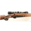 Image 4 : Ruger M77 .25-06 SN: 70-76211