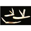 Image 1 : Lot of 3 Pocket Knives