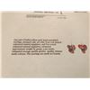 Image 2 : 14KT GOLD MULTI COLOURED SAPPHIRE (4.90CT) EARRINGS